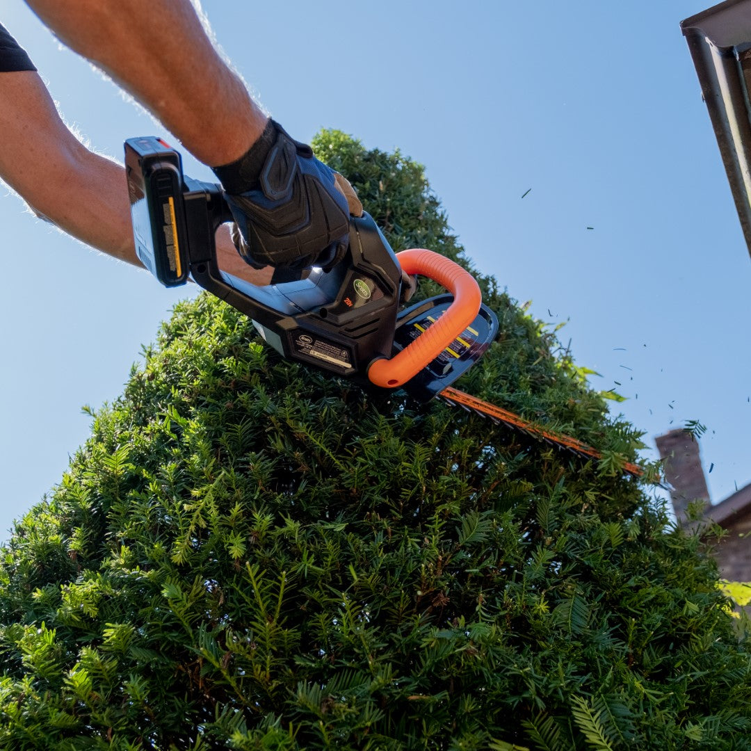 Scotts Outdoor Power Tools LHT12220S 20-Volt 22-Inch Cordless Hedge Trimmer, Black