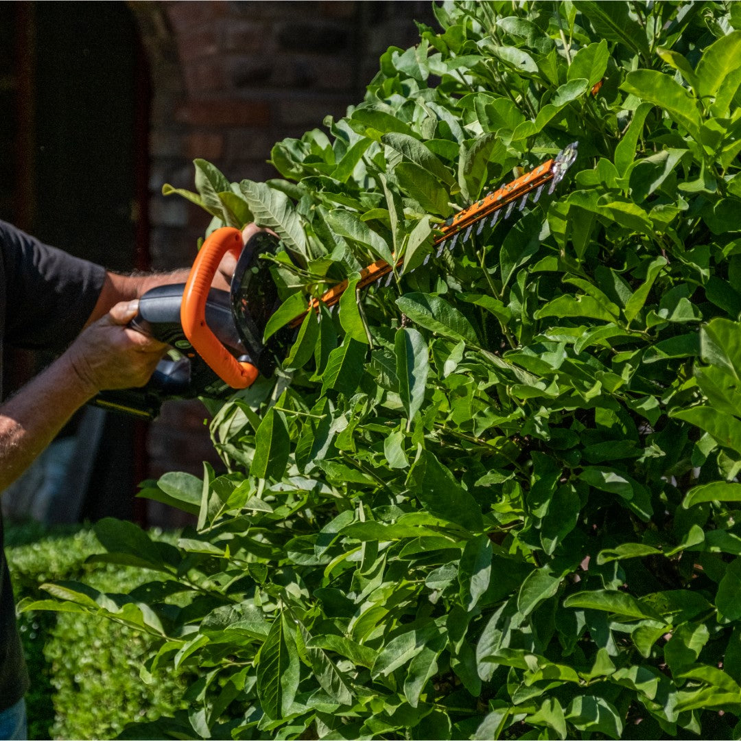 Scotts Outdoor Power Tools LHT12220S 20-Volt 22-Inch Cordless Hedge Trimmer, Black