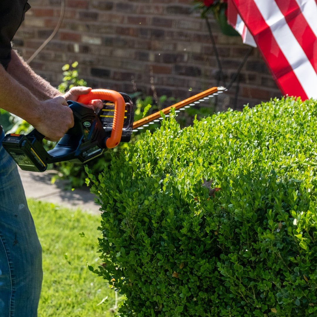 Scotts Outdoor Power Tools LHT12220S 20-Volt 22-Inch Cordless Hedge Trimmer, Black