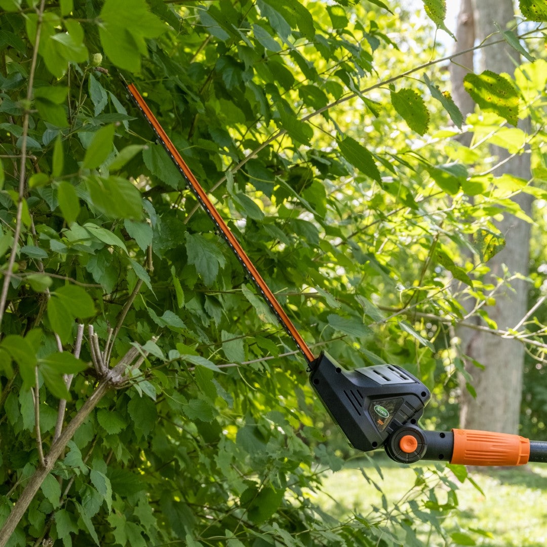 Scotts LPHT12122S 20-Volt 22-Inch Cordless Pole Hedge Trimmer, 2.0Ah Battery and Fast Charger Included