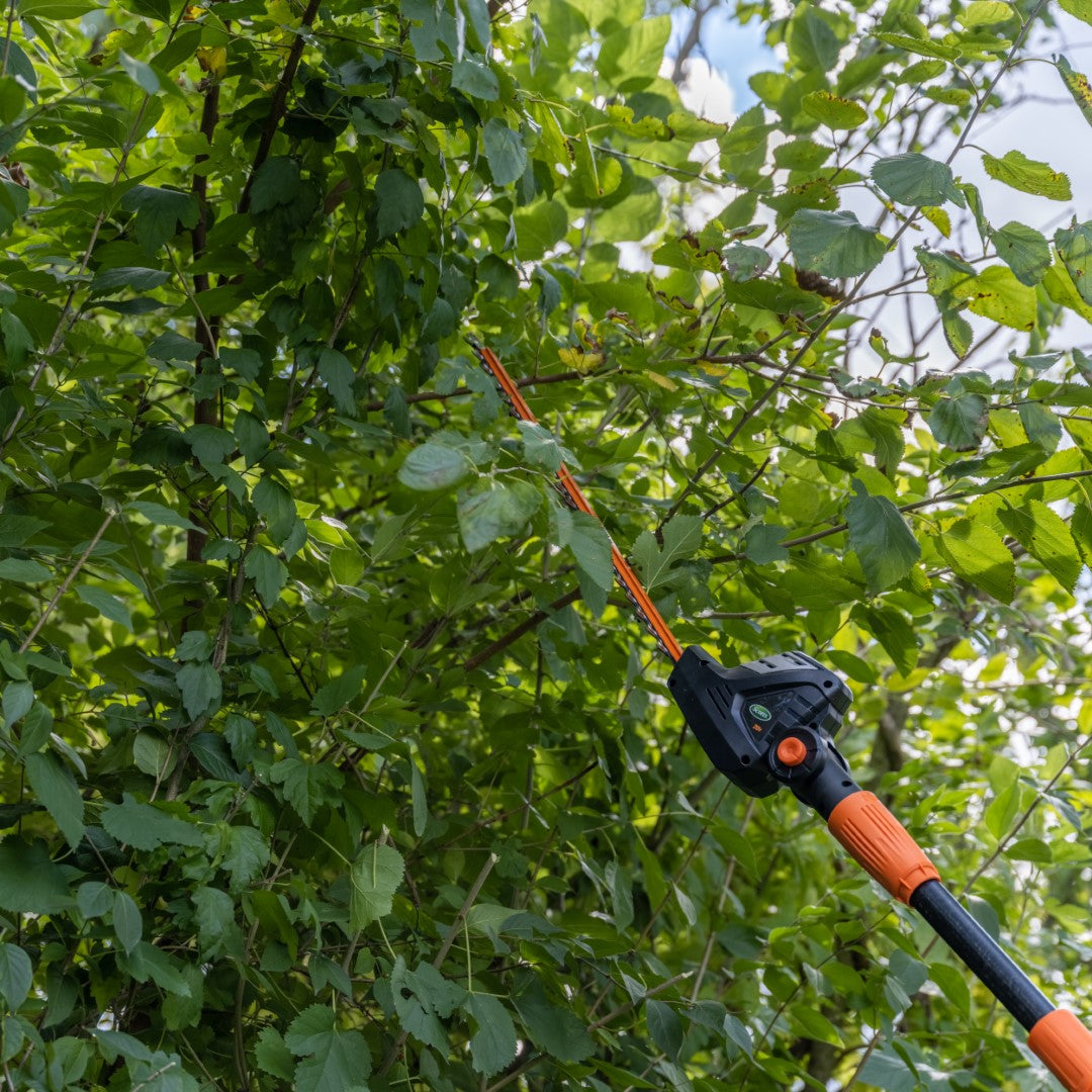 Scotts LPHT12122S 20-Volt 22-Inch Cordless Pole Hedge Trimmer, 2.0Ah Battery and Fast Charger Included