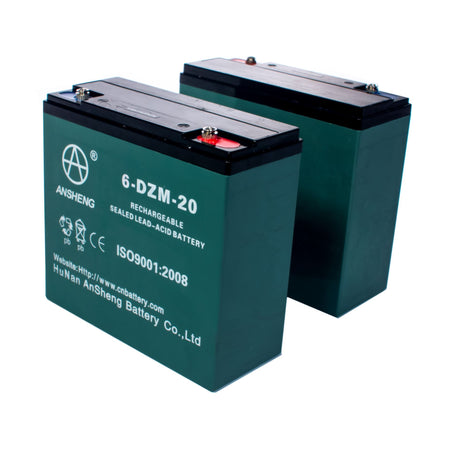 12V 10Ah Lead-Acid Battery for 24V Pack