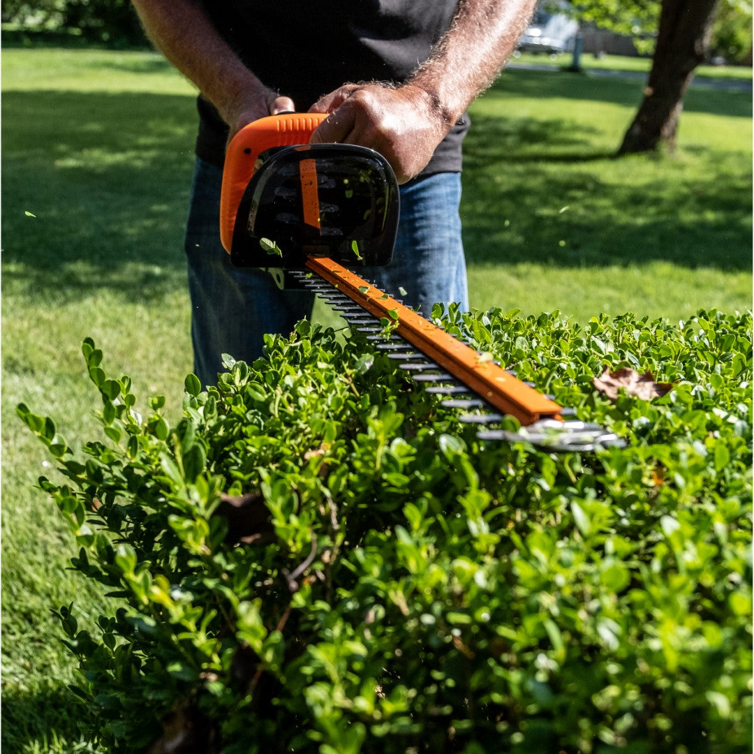 Scotts Outdoor Power Tools LHT12220S 20-Volt 22-Inch Cordless Hedge Trimmer, Black